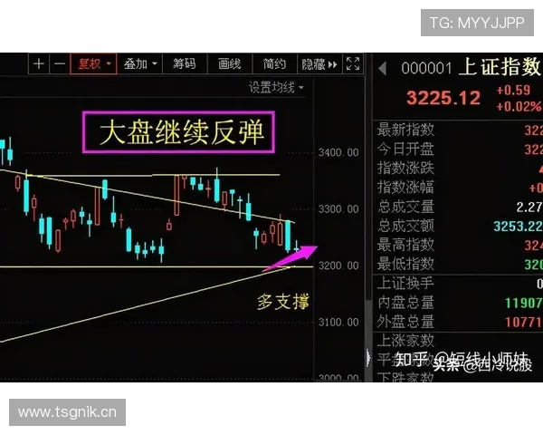 多特蒙德赛季高开低走，稳定性面临考验
